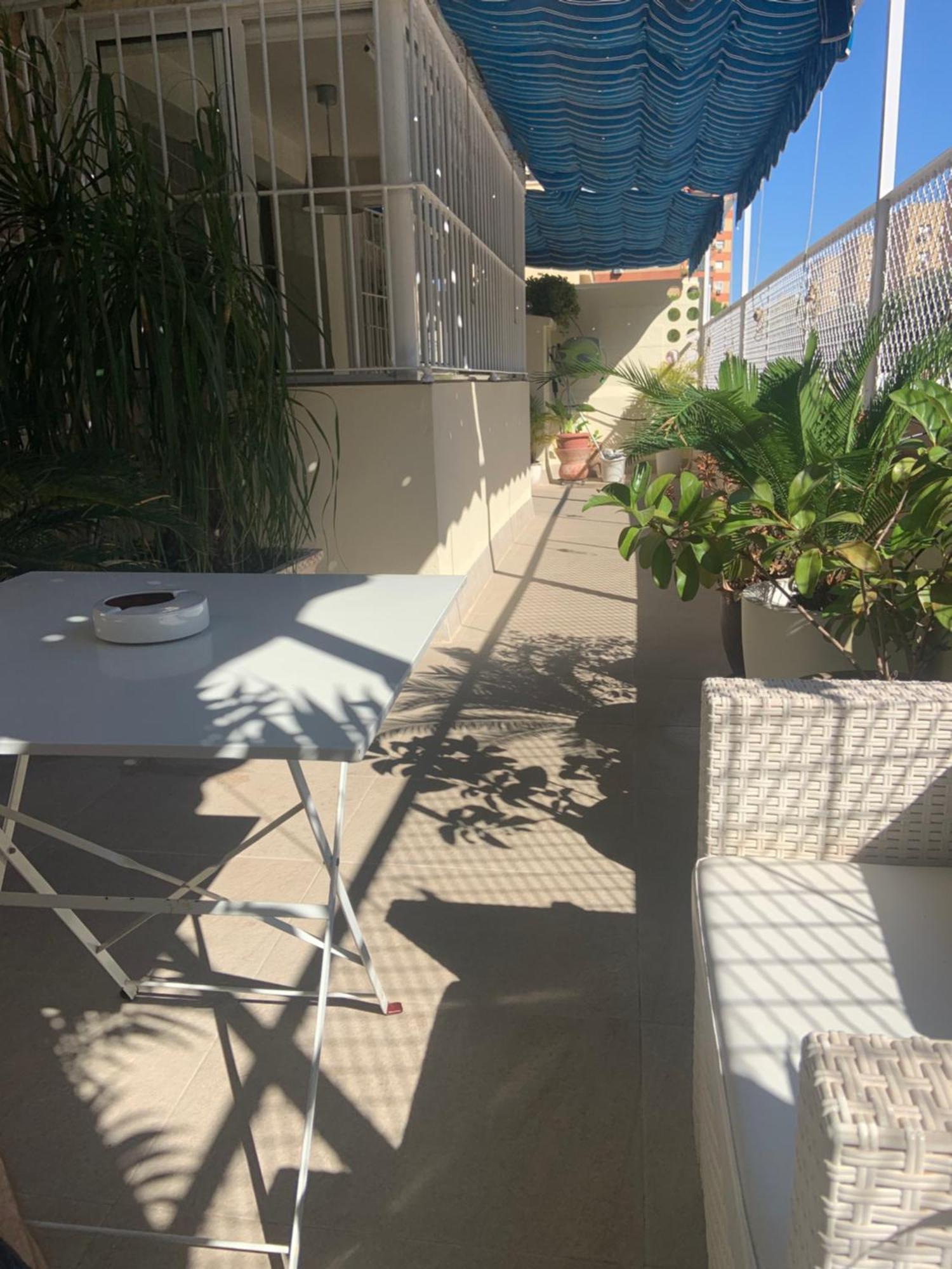 Jardin Cerca Del Centro * Seville